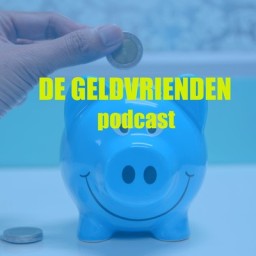 Afleveringplaatje van 38. Tussen FOMO en FIRE, hoe zorg je dat je rijke leven geen arm leven wordt?