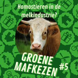 Afleveringplaatje van aflevering 5: Hoe zit het met homostieren in de melkindustrie?