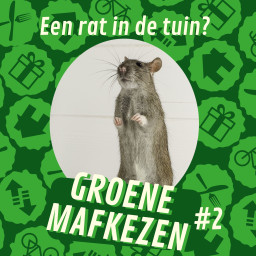 Afleveringplaatje van aflevering 2: Glyfosaat in Mascha, dumpsterdiven en een rat in de achtertuin