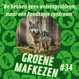 Afleveringplaatje van aflevering 34: 'We hebben geen wolvenprobleem, maar een Roodkapje syndroom'