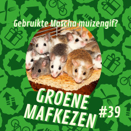 Afleveringplaatje van aflevering 39: Gebruikte Mascha muizengif?