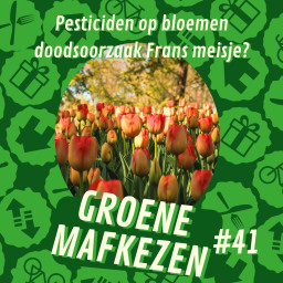 Afleveringplaatje van aflevering 41: Pesticiden op bloemen doodsoorzaak Frans meisje?