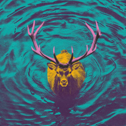 Afleveringplaatje van Live op het Noordelijk Filmfestival!