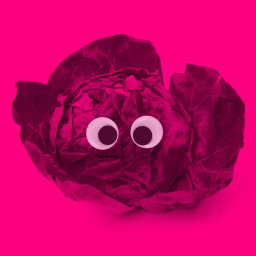 Afleveringplaatje van Het restant van het geoefende oor