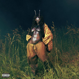 Afleveringplaatje van SZA Lana album