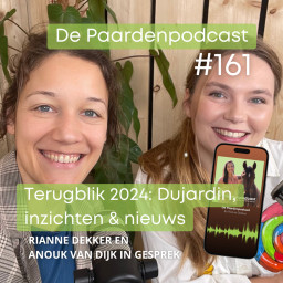 Afleveringplaatje van #161 Terugblik 2024: Dujardin, podcast inzichten en een nieuwtje