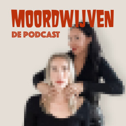 Afleveringplaatje van 7. De moord op café eigenaar Fokko Werkman