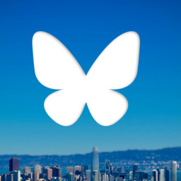 Afleveringplaatje van bulesky got tikTok alternatives