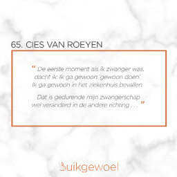 Afleveringplaatje van 65. Cies Van Roeyen (Prenatale diagnostiek & 2 thuisbevallingen)