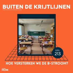 Afleveringplaatje van #213 | Hoe versterken we de B-stroom?