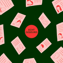 Afleveringplaatje van Afl. 491 Verhalen uit het publiek