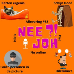 Afleveringplaatje van #88 Katten ergenis - Dilemma's