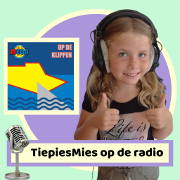 Afleveringplaatje van Bonus - TiepiesMies op de radio