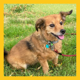 Afleveringplaatje van #8 Abby geeft de kracht om door te gaan