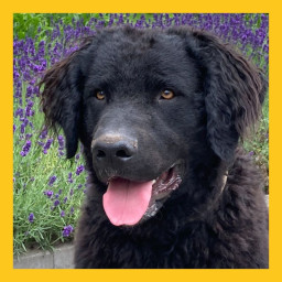 Afleveringplaatje van #6 Jelle is een deugniet en Sjoerd eet sneeuwballen