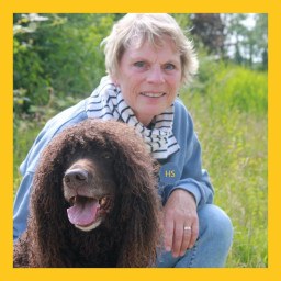 Afleveringplaatje van #4 Met Bijke ontdek ik de hondenwereld