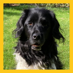 Afleveringplaatje van #10 Jette is de lieve dochter van Semke