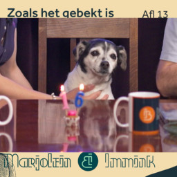Afleveringplaatje van De hond is jarig
