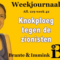 Afleveringplaatje van Knokploeg Tegen De Zionisten