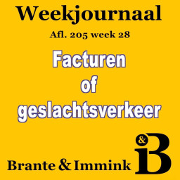 Afleveringplaatje van Facturen Of Geslachtsverkeer