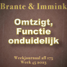 Afleveringplaatje van Omtzigt, Functie Onduidelijk