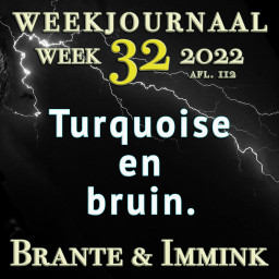 Afleveringplaatje van Turquoise En Bruin.