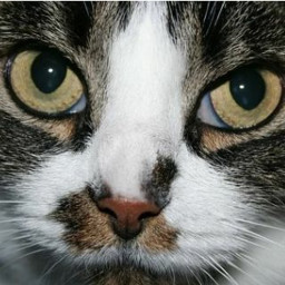 Afleveringplaatje van NieuwNieuws van de dag | 07-12-2020 - Dat is een slechte slogan!