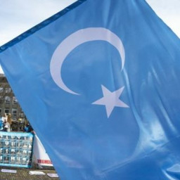 Afleveringplaatje van GeenStijl Daghap | 01-09-2022 - Live vanuit Xinjiang!