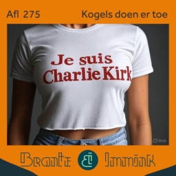 Afleveringplaatje van Kogels doen er toe