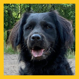 Afleveringplaatje van #13 Guus heeft een eigen handleiding