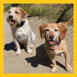 Afleveringplaatje van #14 Carel en Marietje genieten elke dag