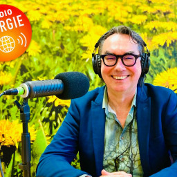 Afleveringplaatje van Henk Wanningen (Staatsbosbeheer) over bos, bosbeheer en houtige biomassa in Nederland