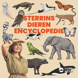 Afleveringplaatje van #133: De Papegaaiduiker