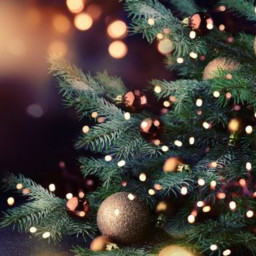 Afleveringplaatje van Alternatieve kerstfilms | Michiel en Peters Mediatheek #19