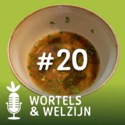 Afleveringplaatje van # 20 - Ineke's misosoep