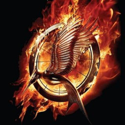 Afleveringplaatje van The Hunger Games 2: Catching Fire | Michiel en Peters Cinefilosofische Fylmhuysch #101