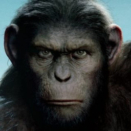 Afleveringplaatje van Gamersnet Filmhuis #77 | Rise of the Planet of the Apes