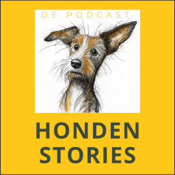 Afleveringplaatje van #15 De wandeling. Pepper vindt snel dat hij teveel doet