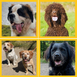 Afleveringplaatje van DE WANDELING. TRAILER