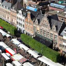 Afleveringplaatje van GeenStijl Daghap | 20-09-2022 - Laten we het over Haarlem hebben