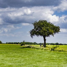 Afleveringplaatje van GeenStijl Daghap | 03-06-2022 - Herrie op de Veluwe!