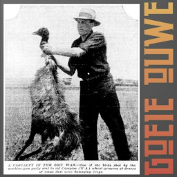 Afleveringplaatje van 103 - De Grote Emoe Oorlog