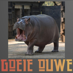 Afleveringplaatje van 97 - De Nijlpaarden Van Escobar