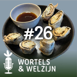 Afleveringplaatje van #26 - Michel bereidt tempura-tempeh-sushi