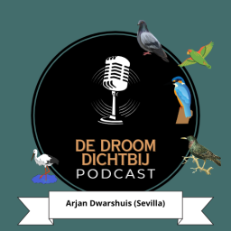 Afleveringplaatje van De Droom Dichtbij - Arjan Dwarshuis (Sevilla) (deel 8)