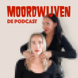 Afleveringplaatje van 64. Van R&B-ster naar moordverdachte