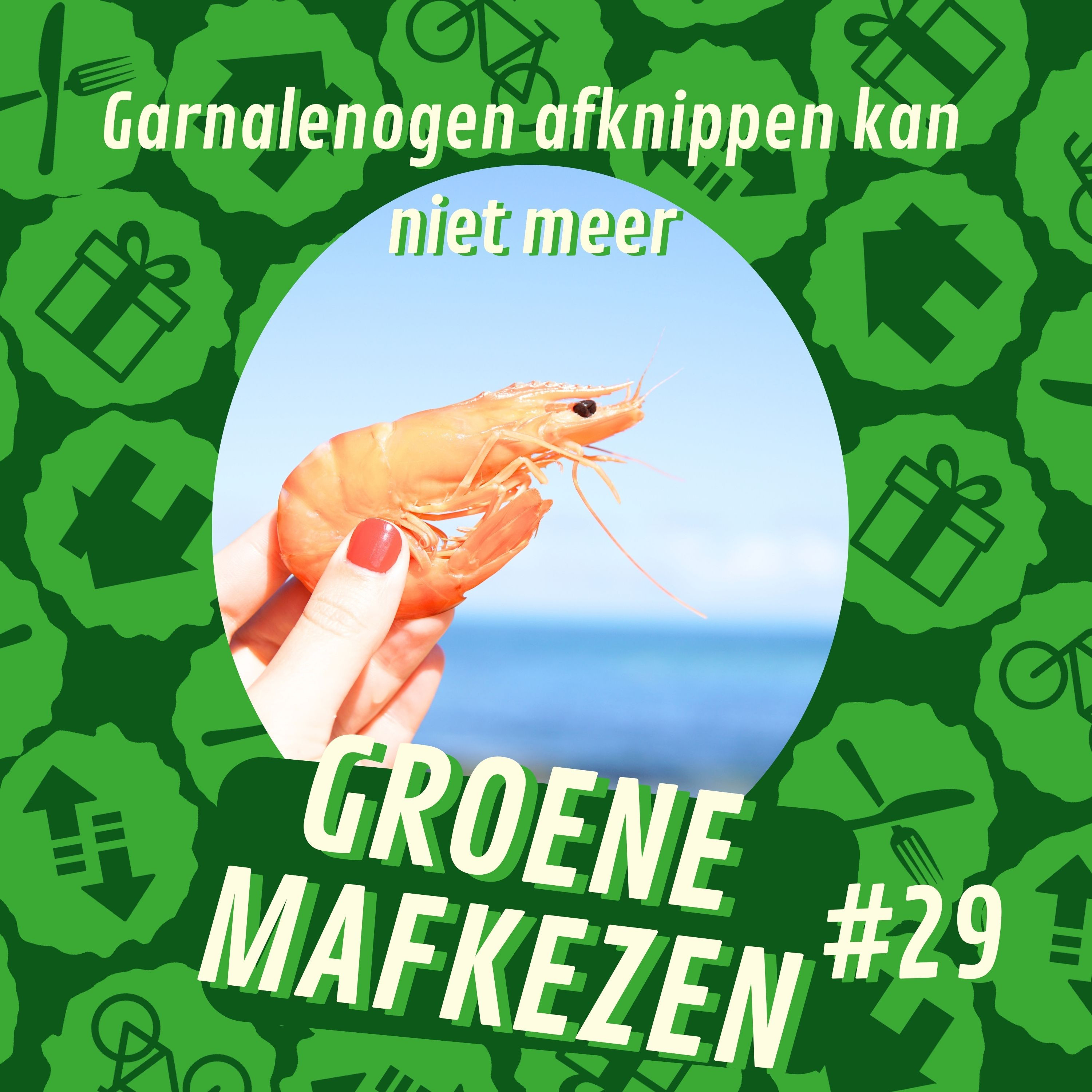 Afleveringplaatje van aflevering 29: Garnalenogen afknippen kan niet meer