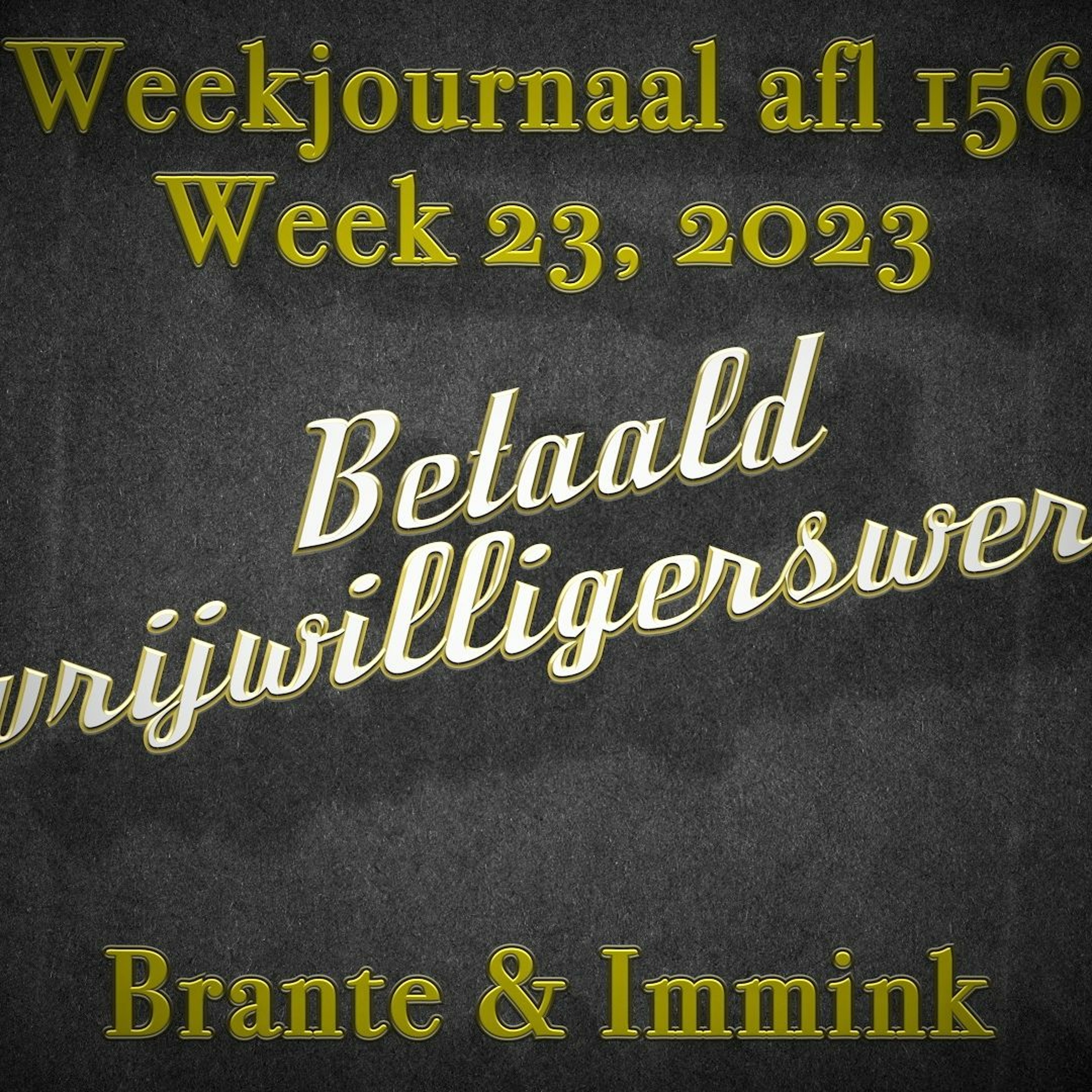 Afleveringplaatje van Betaald Vrijwilligerswerk
