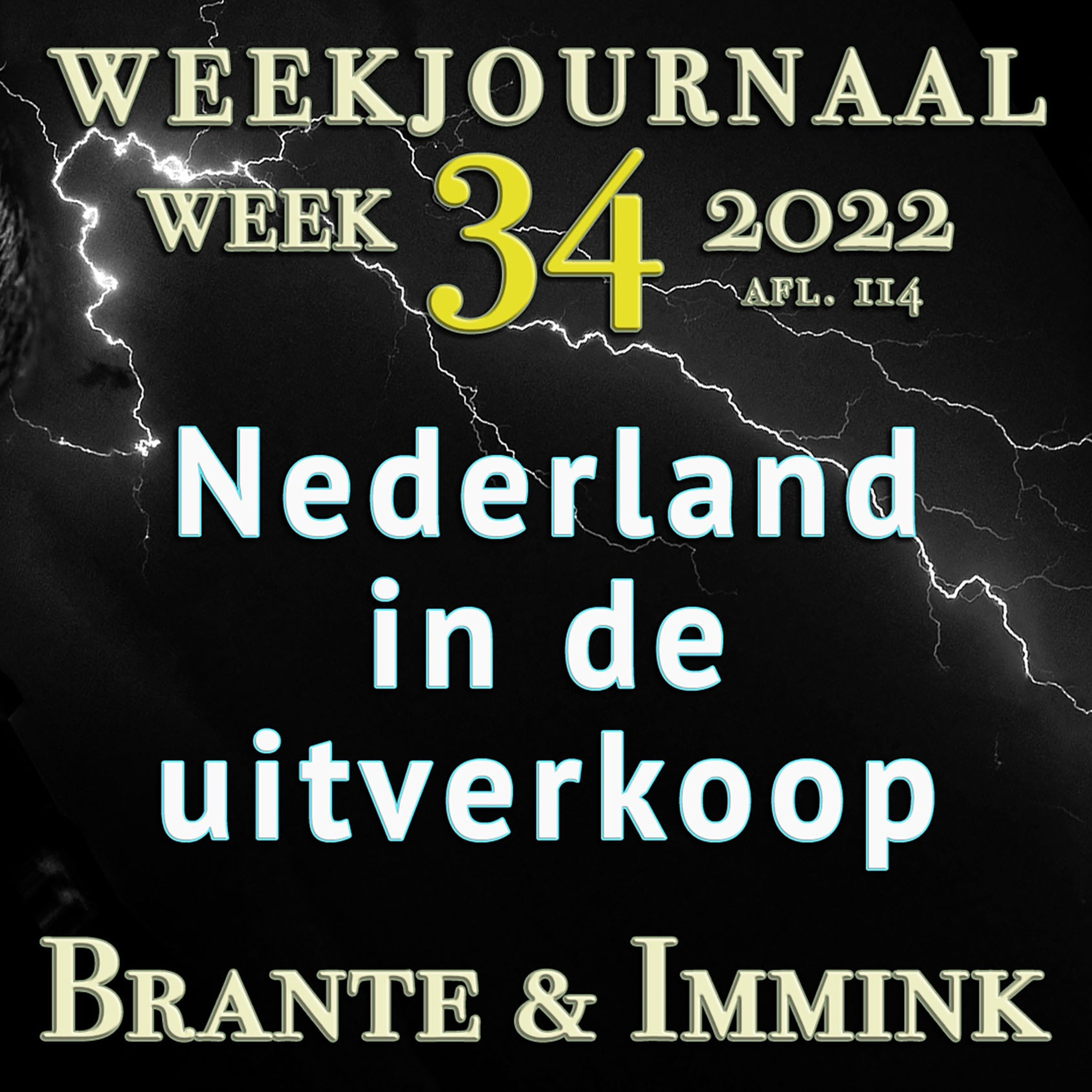 Afleveringplaatje van Nederland In De Uitverkoop