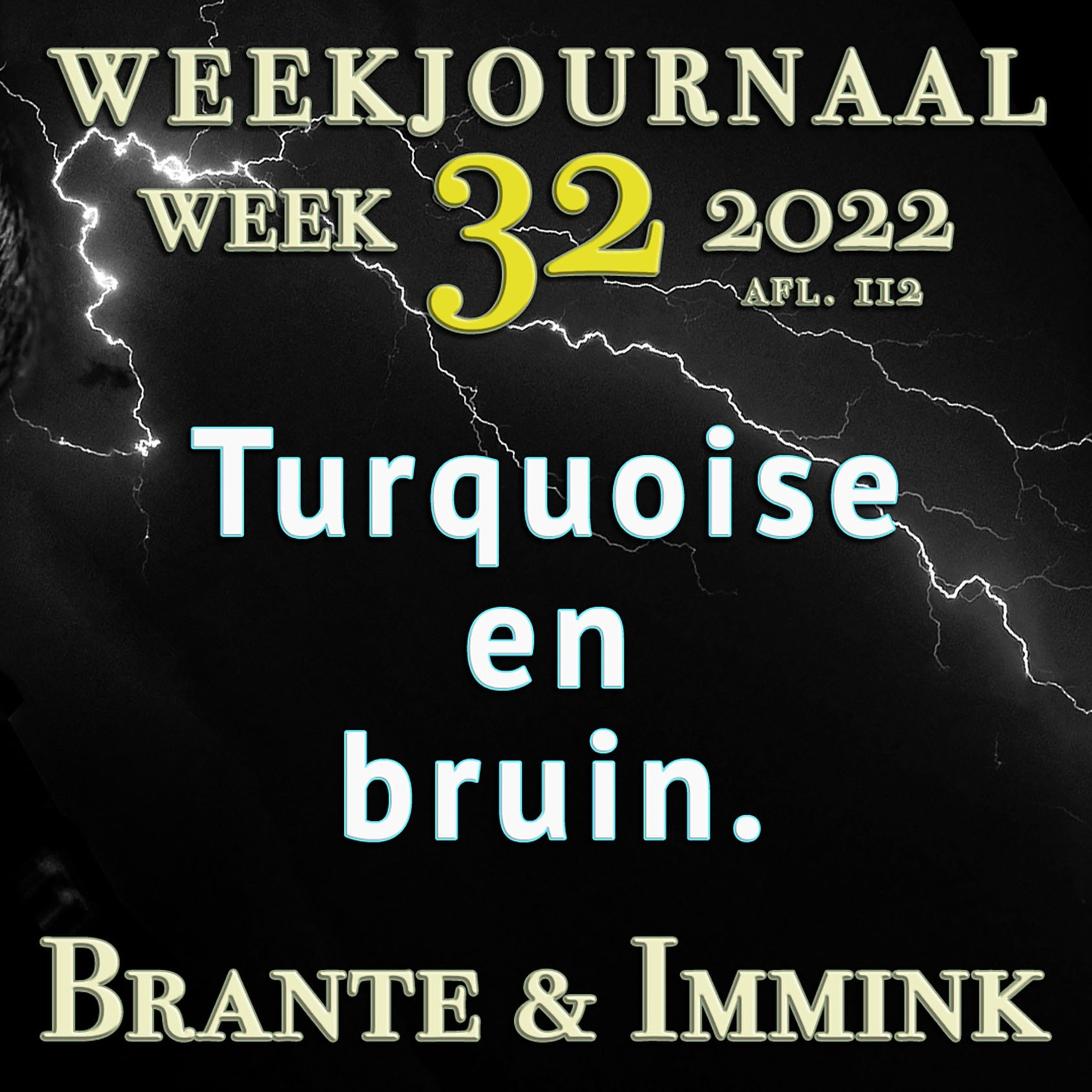 Afleveringplaatje van Turquoise En Bruin.
